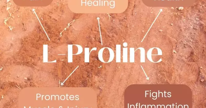 Benefits of IV L-Proline image